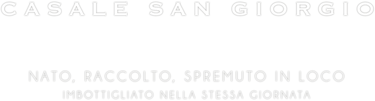 Casale San Giorgio Logo